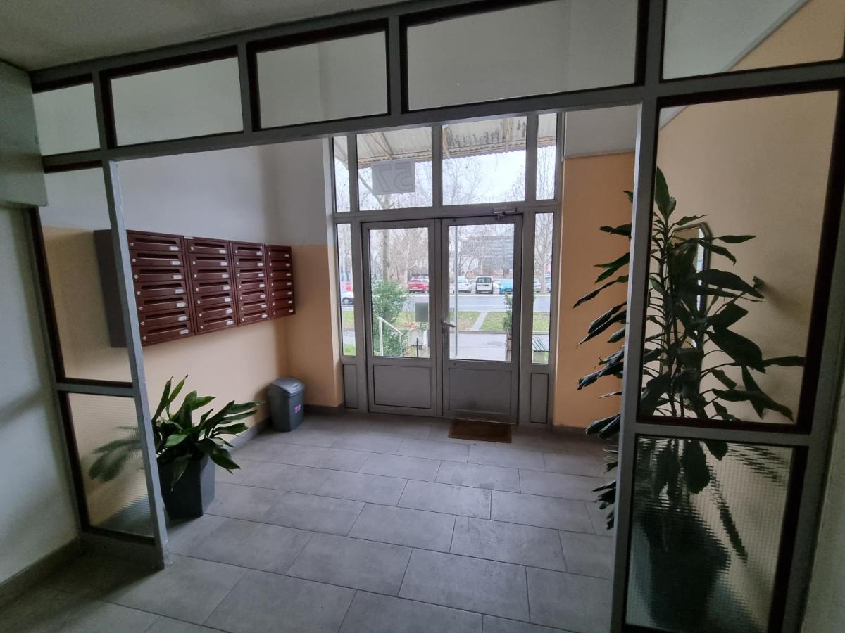 Simeon Apartment 贝尔格莱德 外观 照片